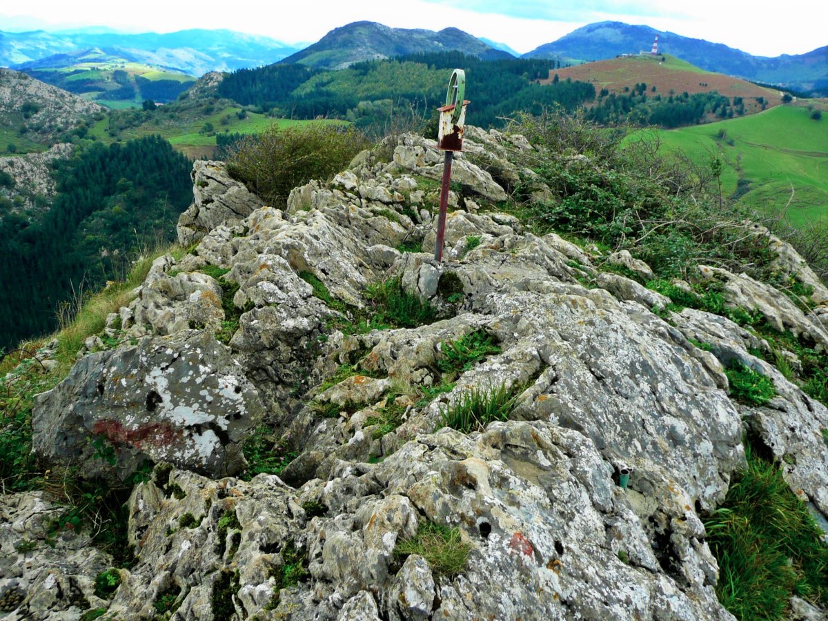 Tontorra