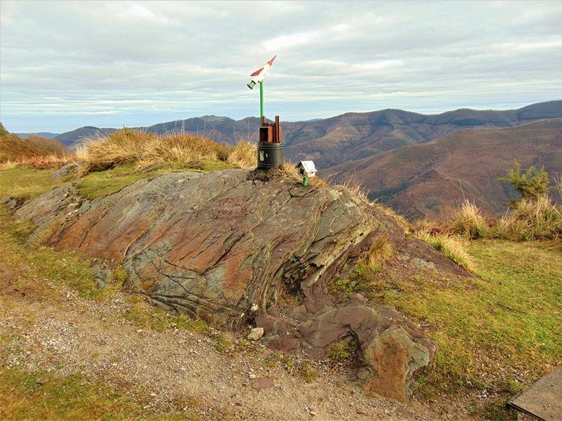 Tontorra