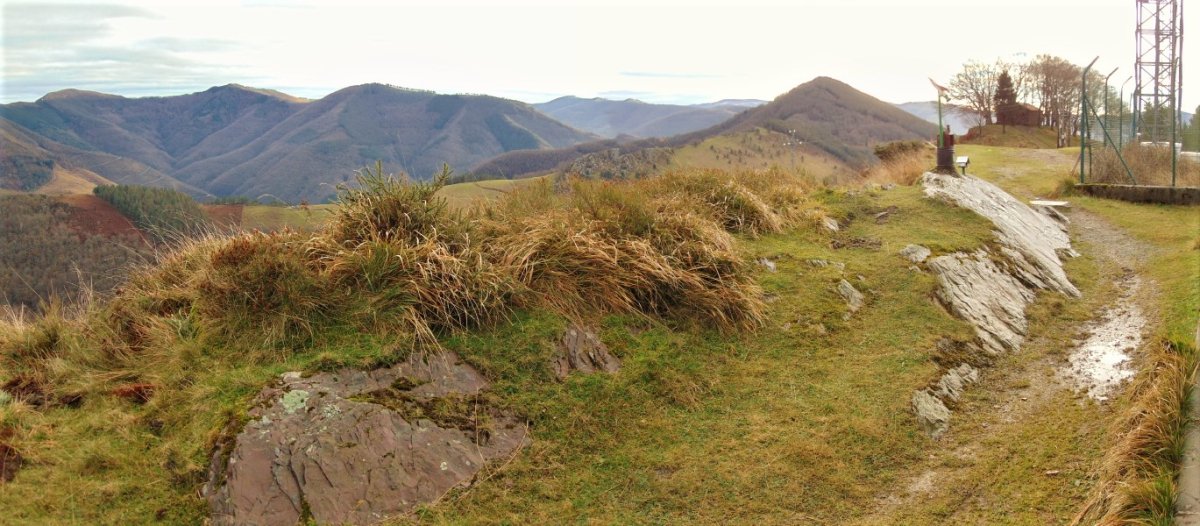 Tontorra