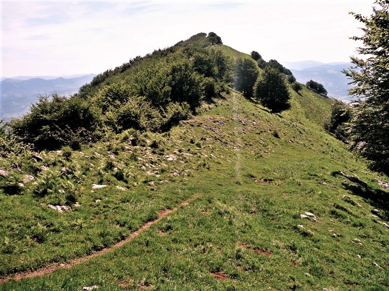Erniozabal
