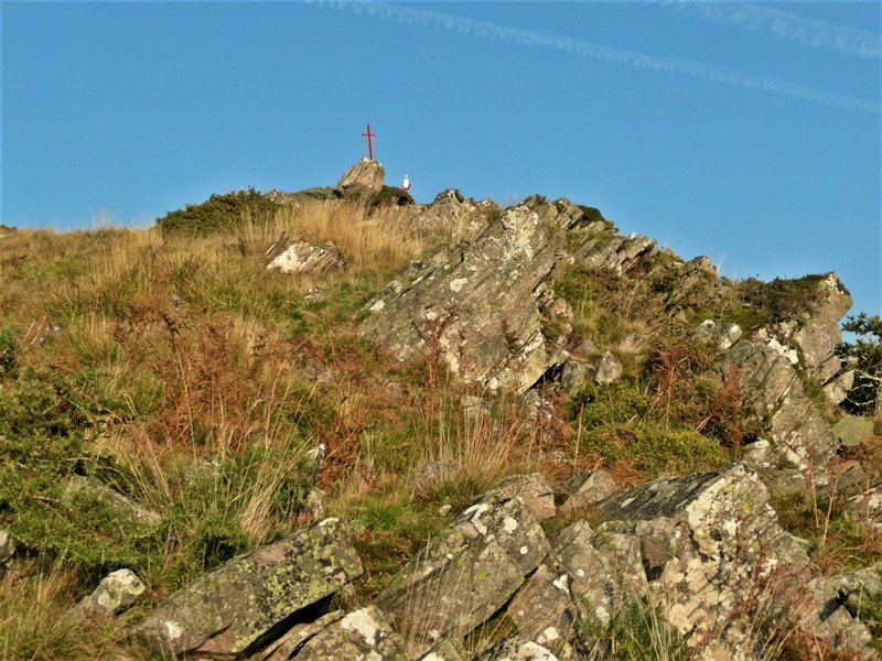 Tontorra