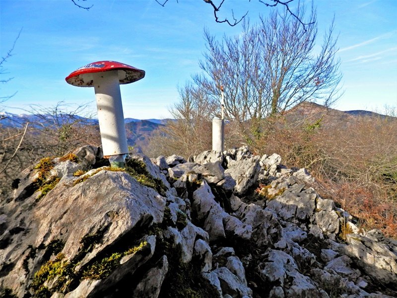 Tontorra