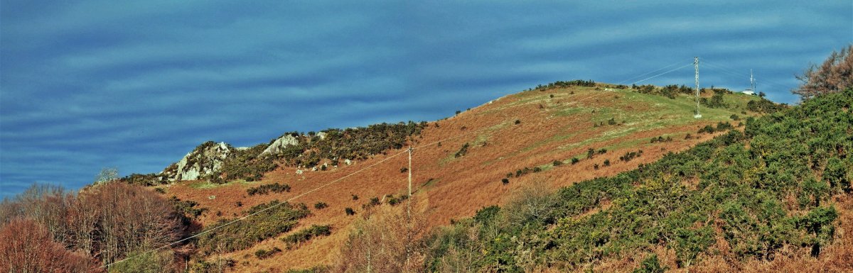 Agiña