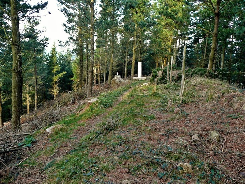 Tontorra