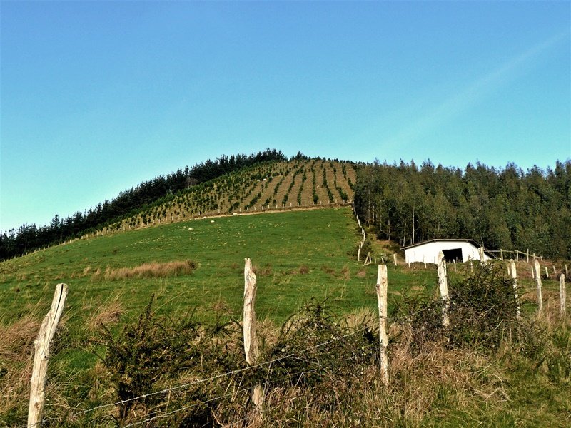 Ituiñomendi