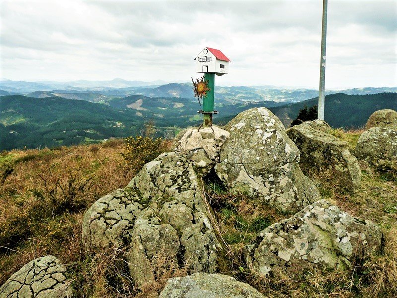 Buzoia