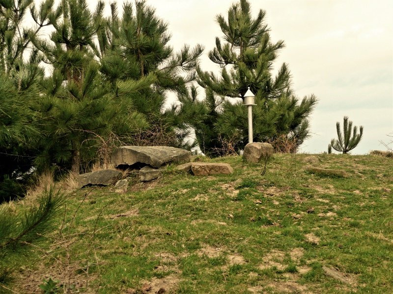 Tontorra