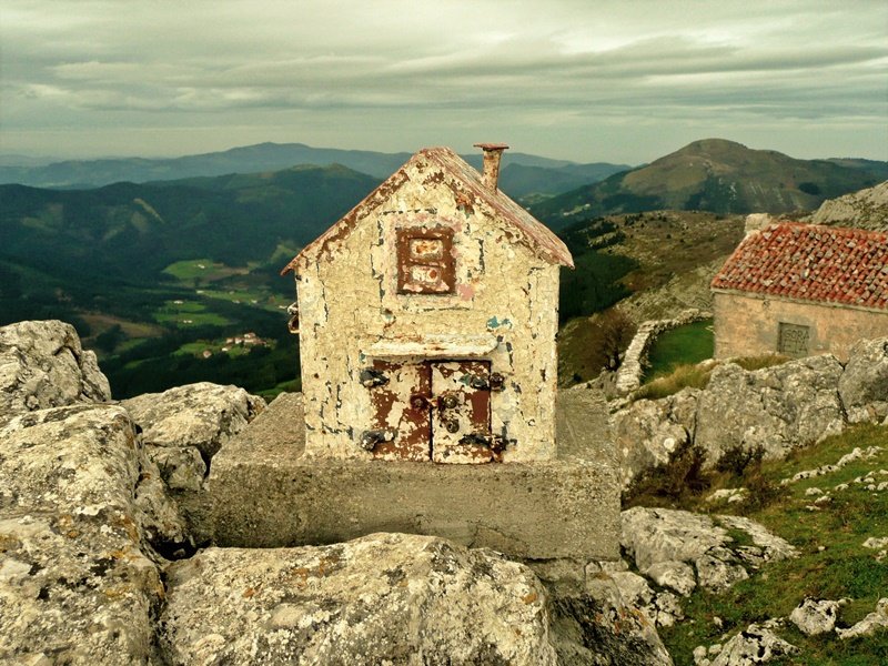 Buzoia