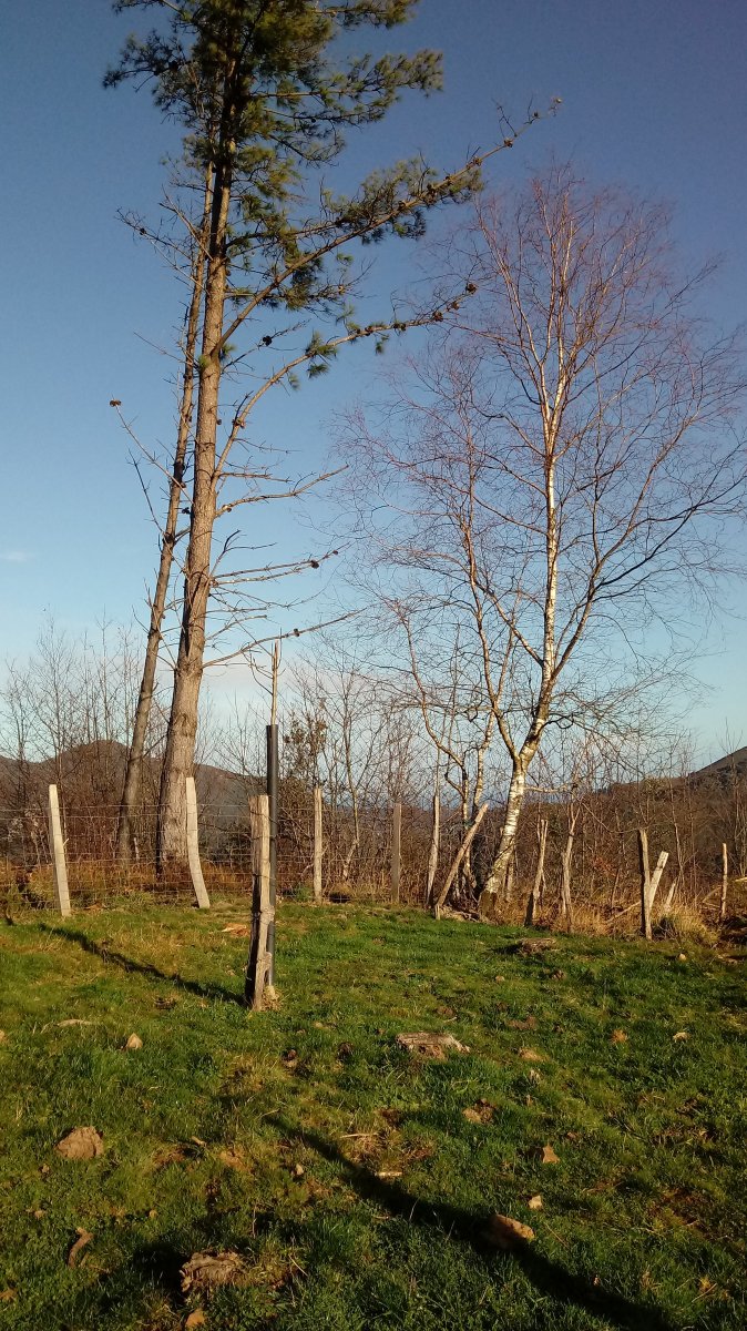 Etun (416m) tontorra