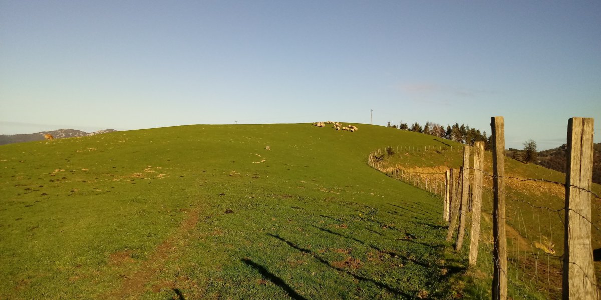 Lizundia (507m) gainaldea