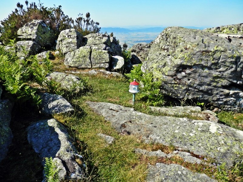 Tontorra