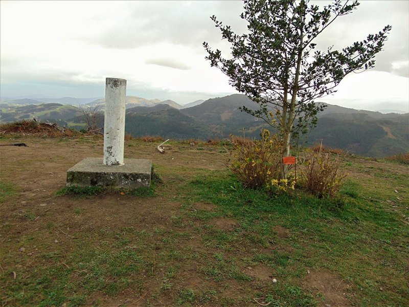Tontorra