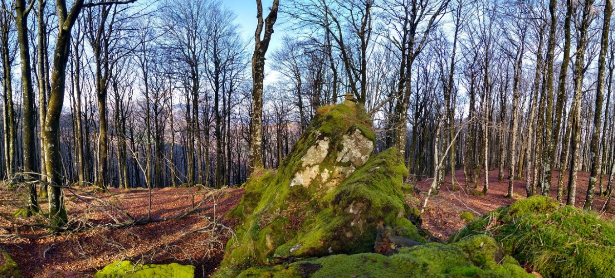 Kipularko gailurra