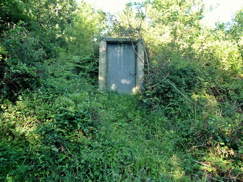 Tontorra