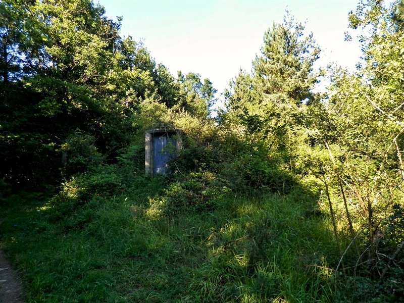Tontorra