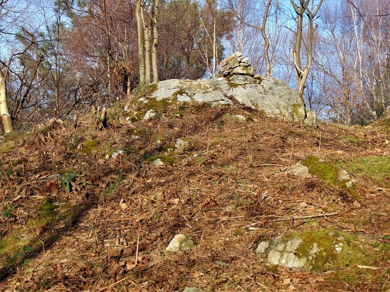Tontorra