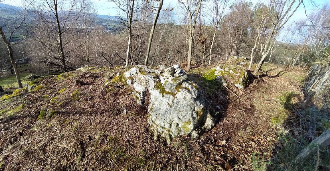 Tontorra