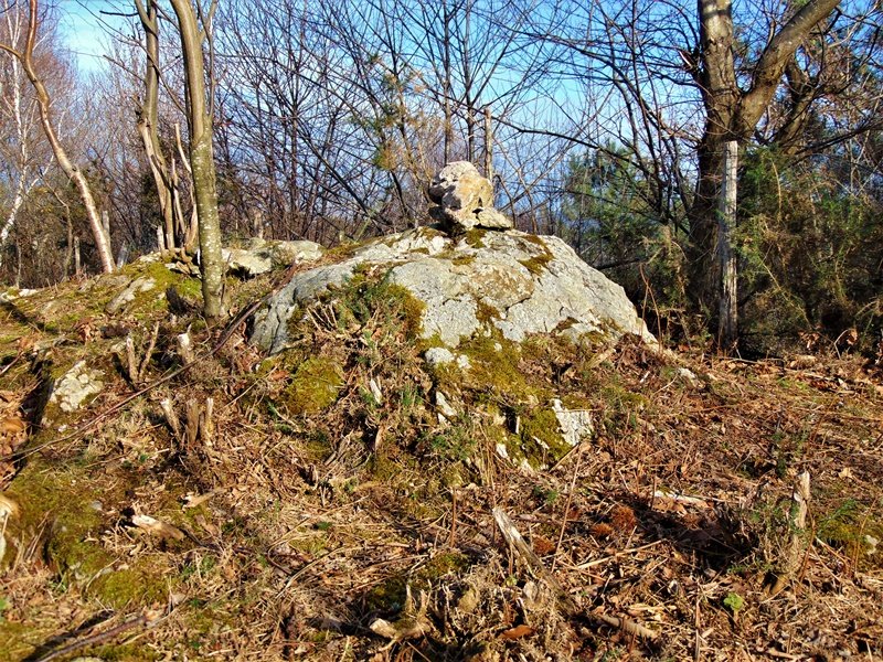 Tontorra