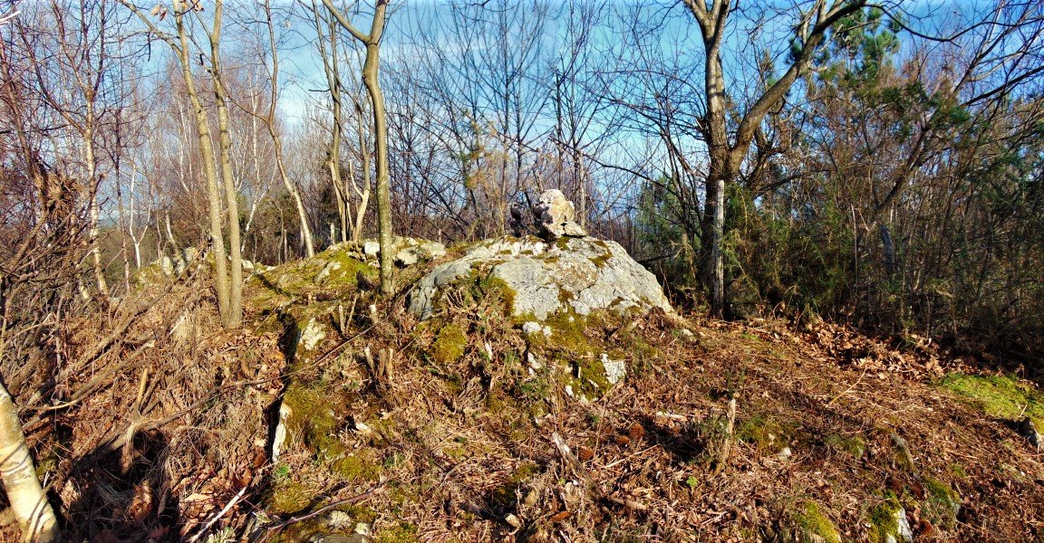 Tontorra