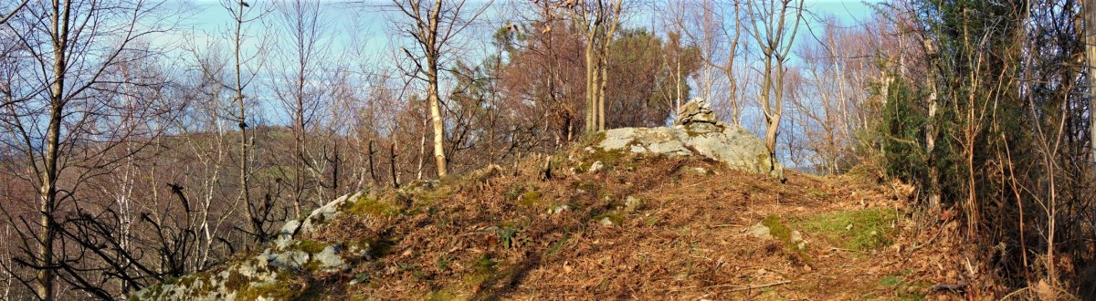 Tontorra