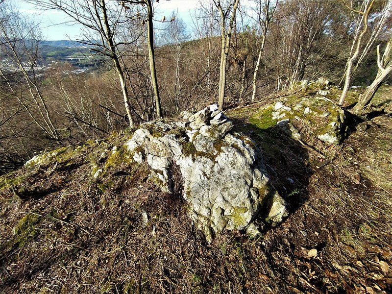 Tontorra