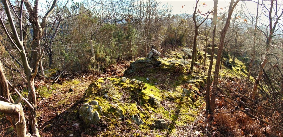 Tontorra