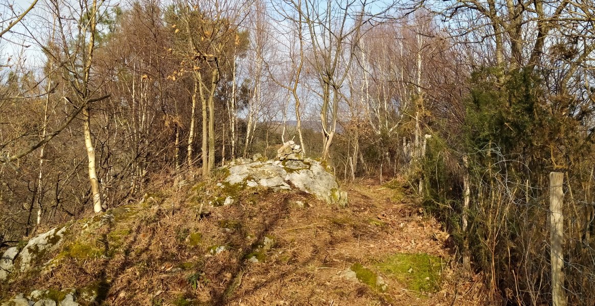 Tontorra