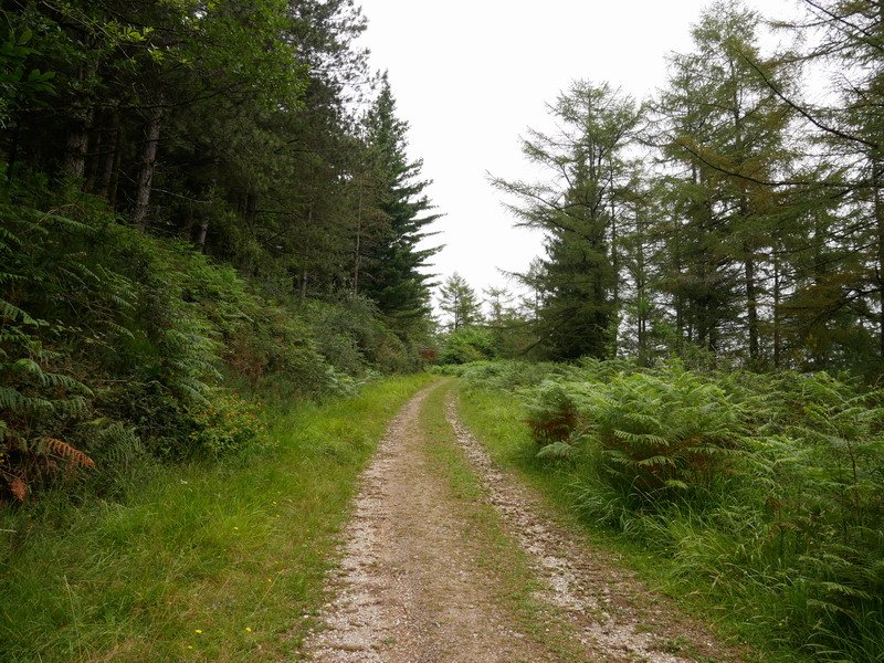 Aizkolegiko pista