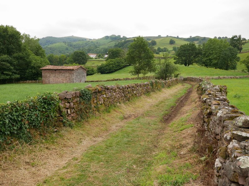 Bideko pasarte bat