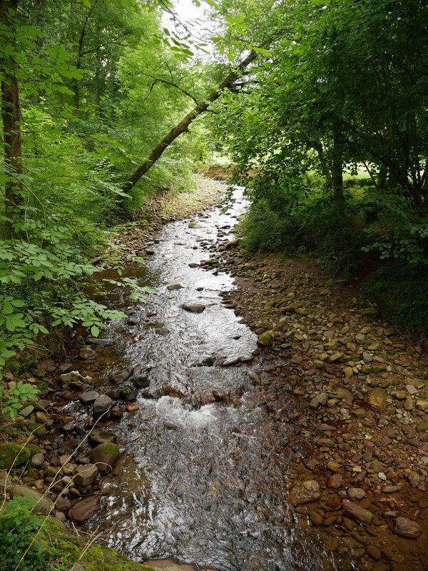 Iñarbegiko erreka