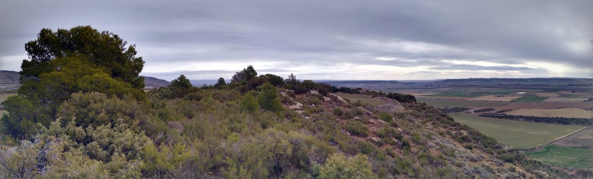 Peña del Aguila