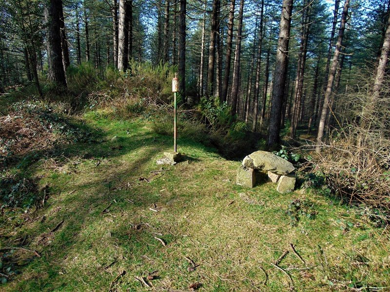 Tontorra