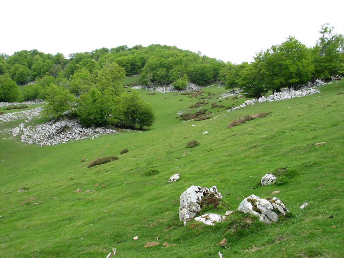 HMko isurialdea