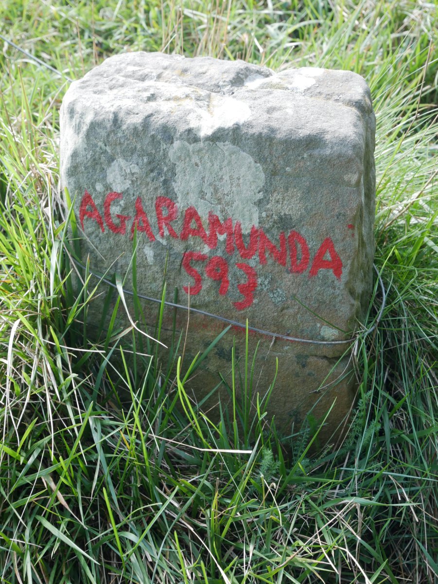 Mugarria tontorrean