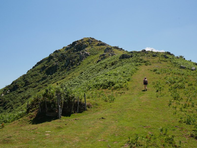 Soporrora iristen
