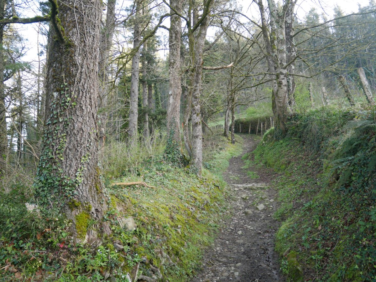 San Martin aldera abiatzen den PR bidea