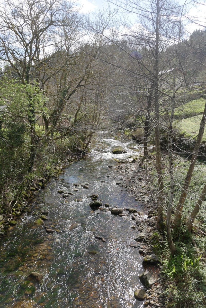 Agauntza erreka Ergoiena parean