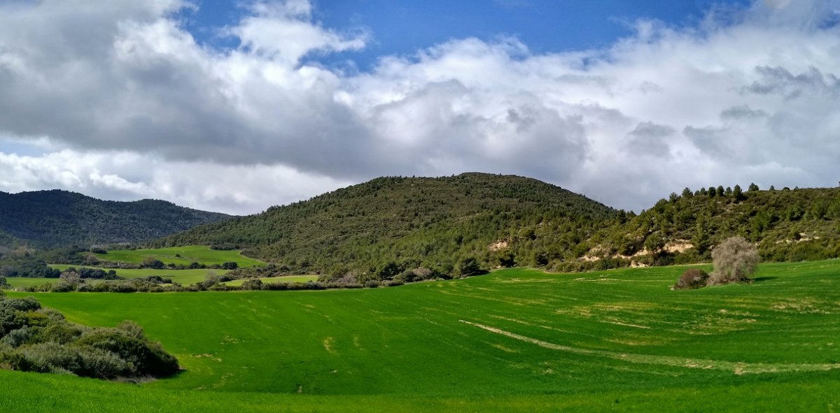 Berros gaina
