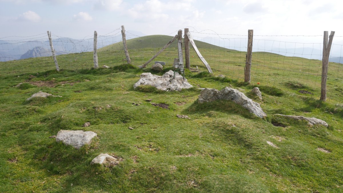 Errenga gailurra