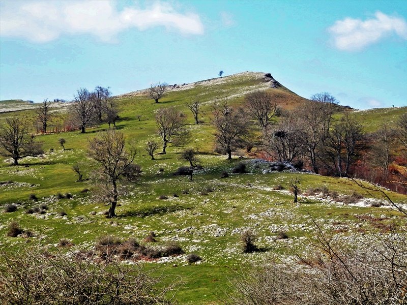 Akarrate