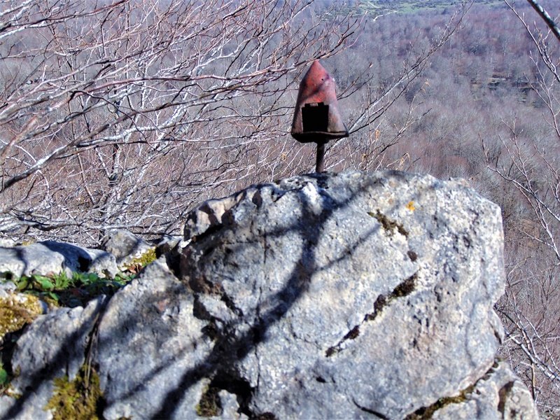 Buzoi Zaharra