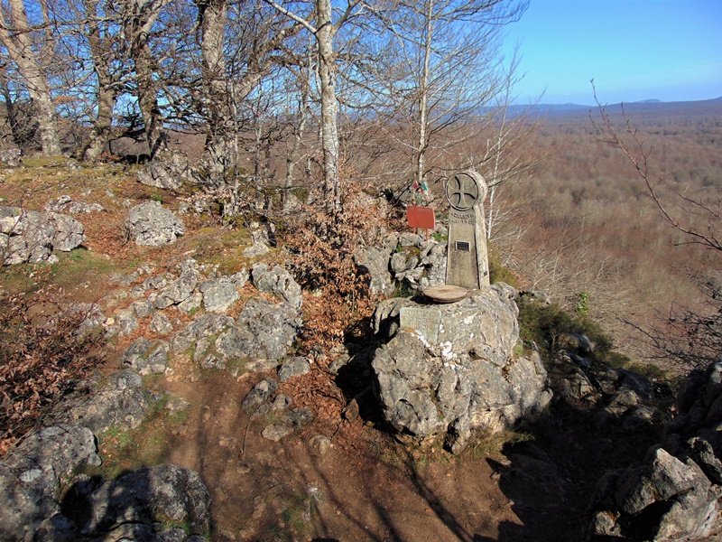 Tontorra