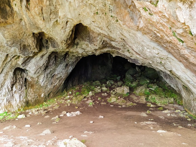 Koba Haundi