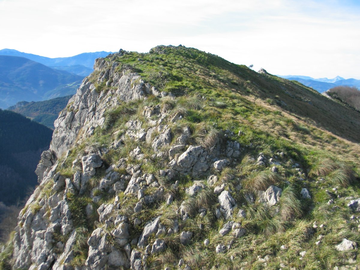 Tontorra ekialdetik