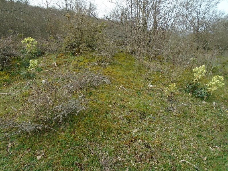 lezaundi norte