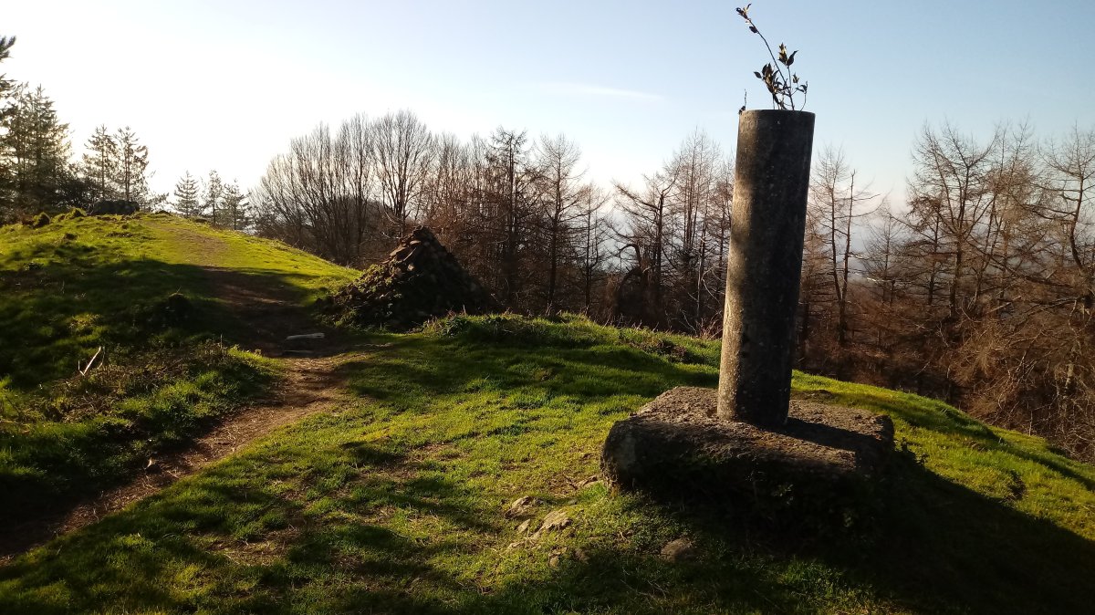 Irimo (901m) gaina