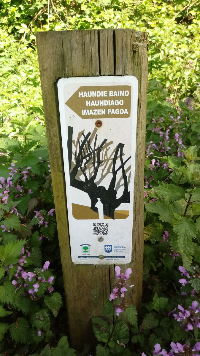 Altzotiko igoeran