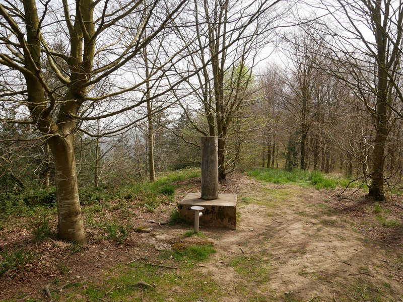 Tontorra