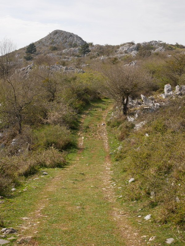 Pagozelai