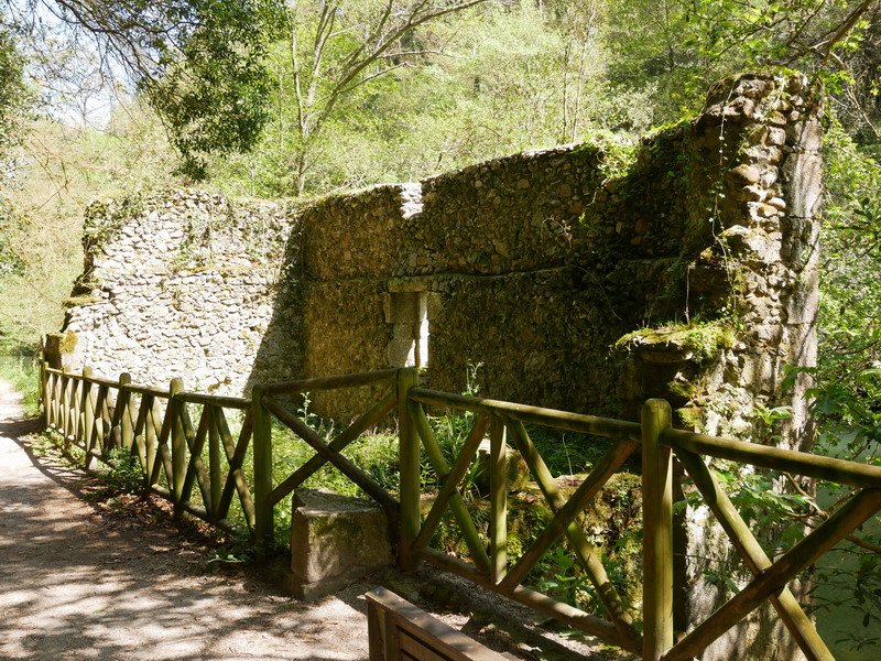 Lariz Aurre errota